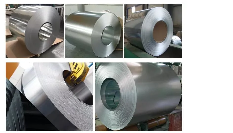 Cold Rolled 202 201 316 301 304 Stainless Steel Sheet /Coil/Strip or 430 Steel Coil